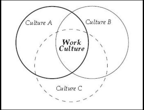 Professional BaFa’ BaFa’ Cultural Awareness & Diversity Simulation: How It Works & What It Does