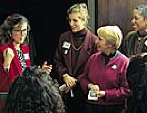 Using BaFa’ BaFa’ (Professional Version) – Strategies For Adapting To Another Culture